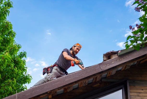 Best Metal Roofing Installation  in Honaunau Napoopoo, HI
